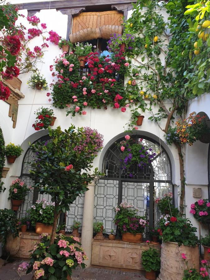 Apto. Planta Baja Y Cochera Barrio San Basilio Córdoba Eksteriør billede