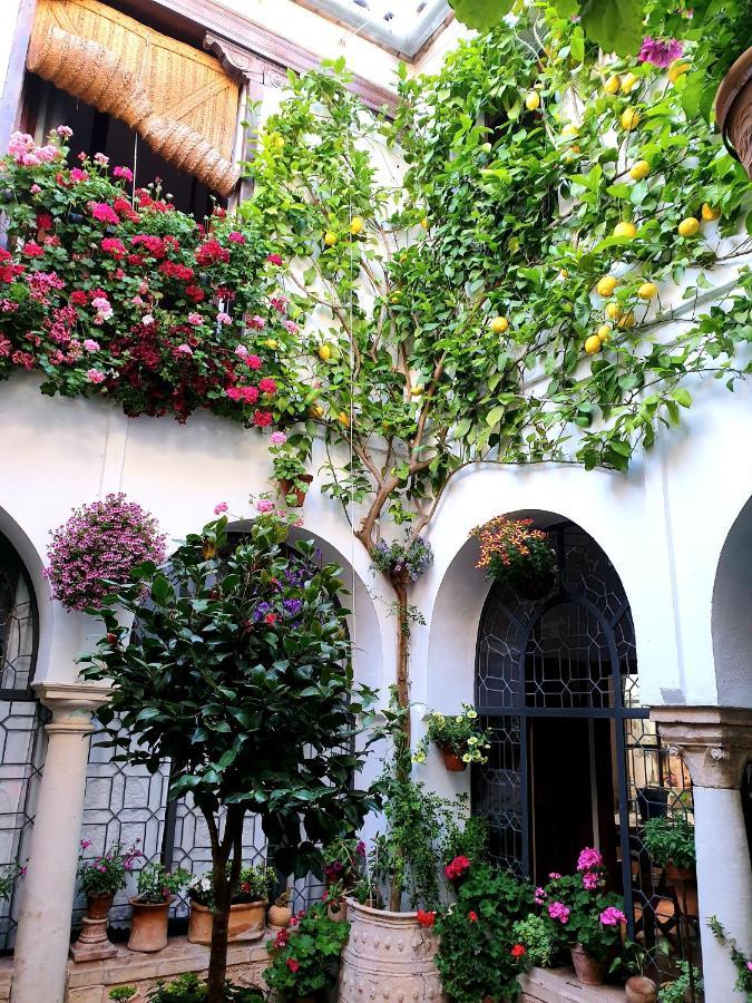 Apto. Planta Baja Y Cochera Barrio San Basilio Córdoba Eksteriør billede